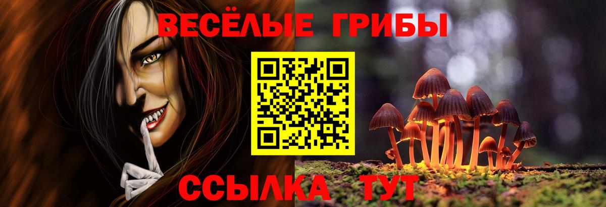Псилоцибиновые грибы Cubensis  Вход с VPN  Муром 